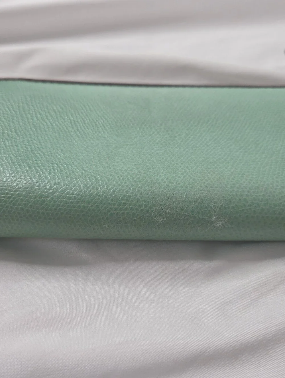Dooney & Bourke Mint Green Zip-Around Leather Wallet